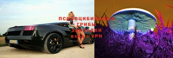 a pvp Алексин