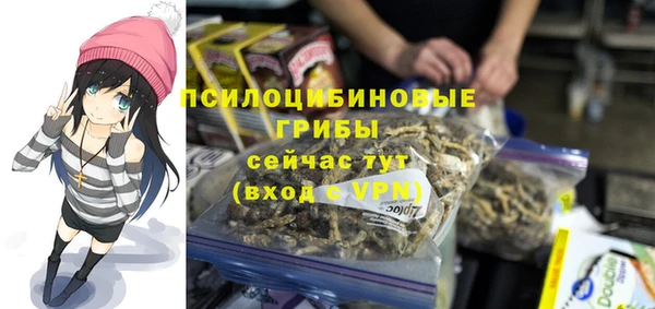 бошки Алзамай