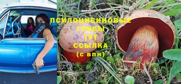 a pvp Алексин