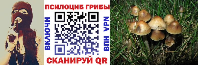 продажа наркотиков  Нюрба  Галлюциногенные грибы GOLDEN TEACHER 